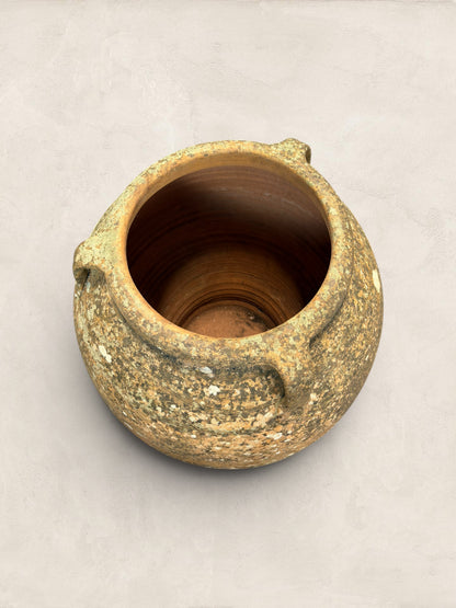 Pair of Large Mediterranean Terracotta Olive Jars