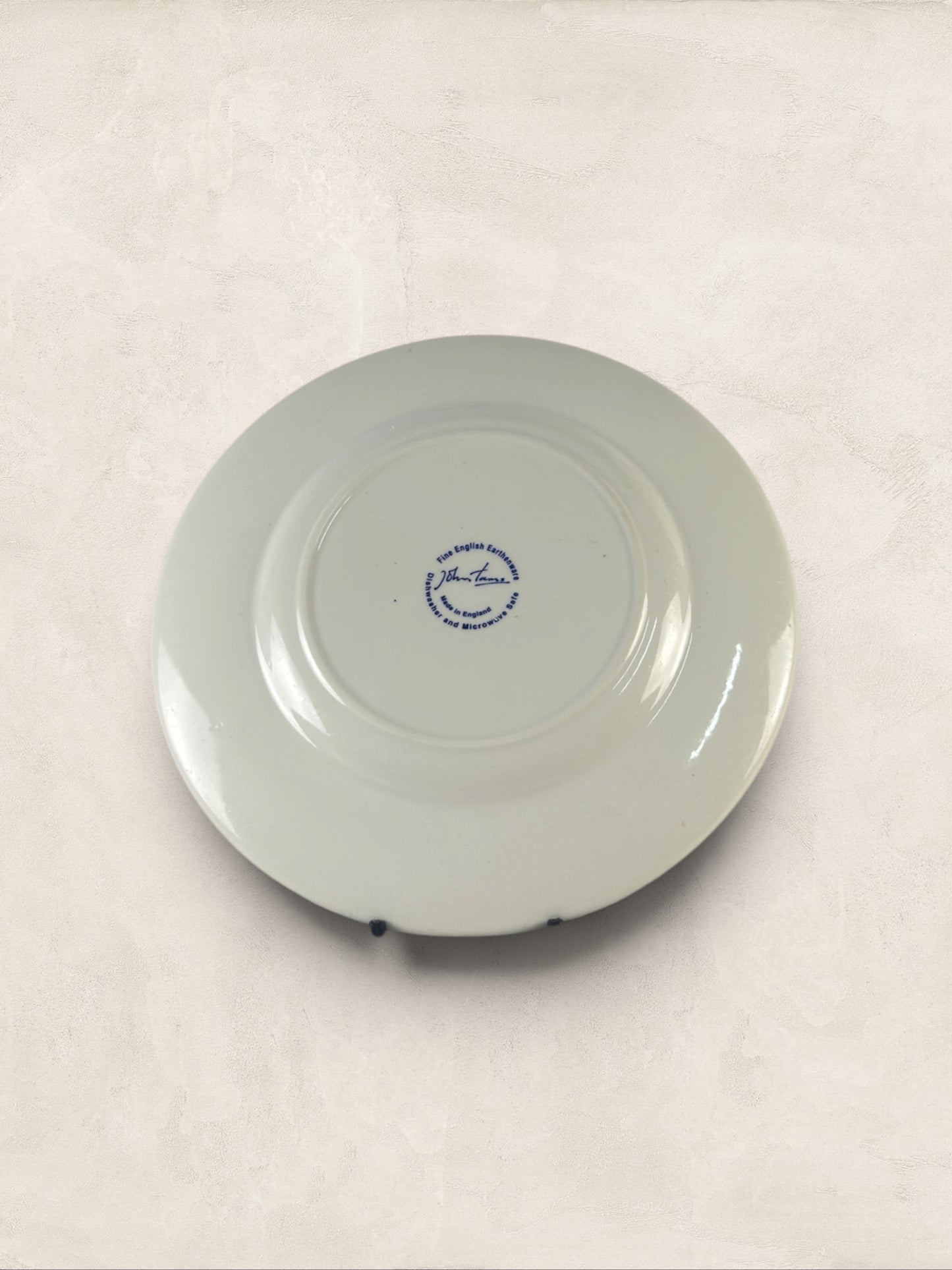 English John Tams Blue and White Plates, Set of Two