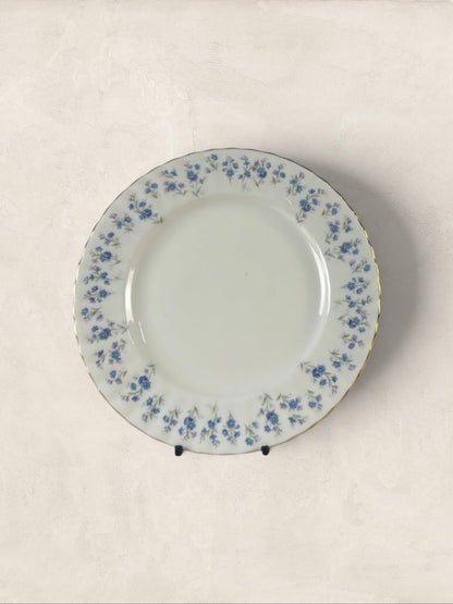 English Royal Albert 'Memory Lane' 8 inch Plates, Set of Two