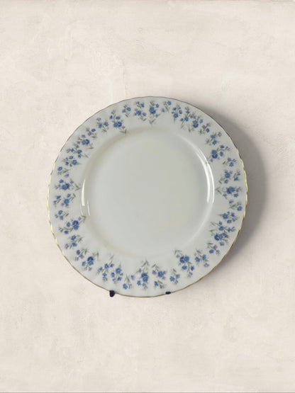 English Royal Albert 'Memory Lane' 8 inch Plates, Set of Two