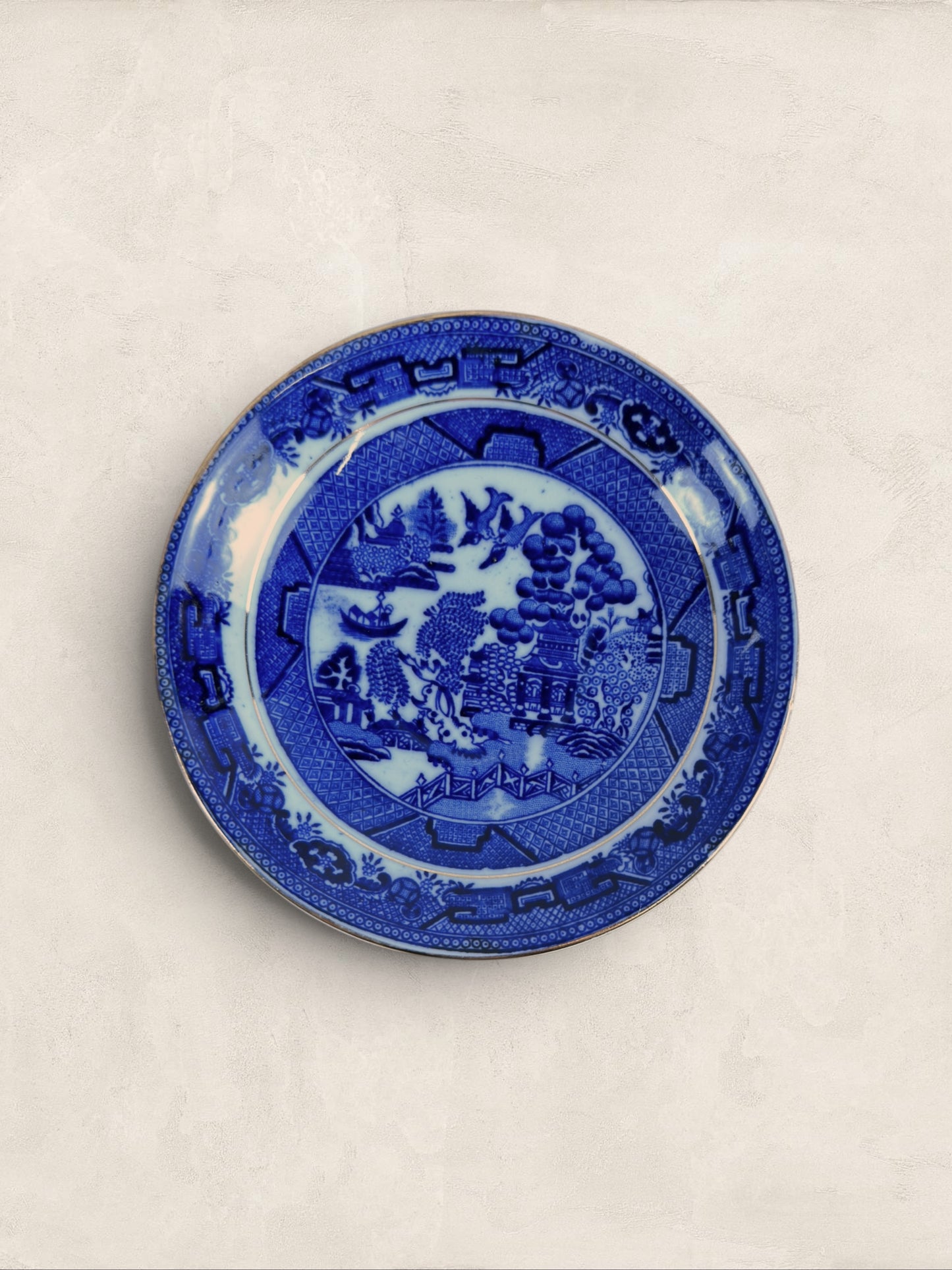 English Queens China Blue Willow Bone China Cup & Saucer