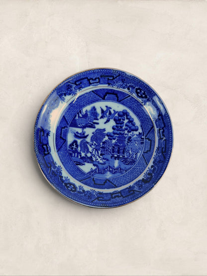 English Queens China Blue Willow Bone China Cup & Saucer