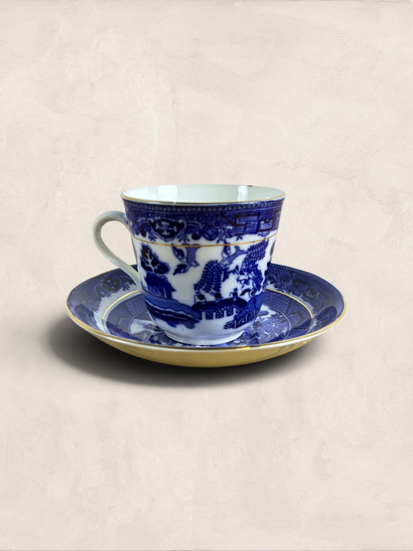 English Queens China Blue Willow Bone China Cup & Saucer