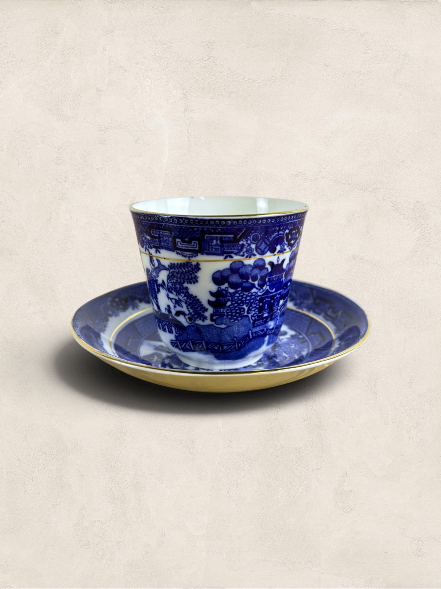 English Queens China Blue Willow Bone China Cup & Saucer
