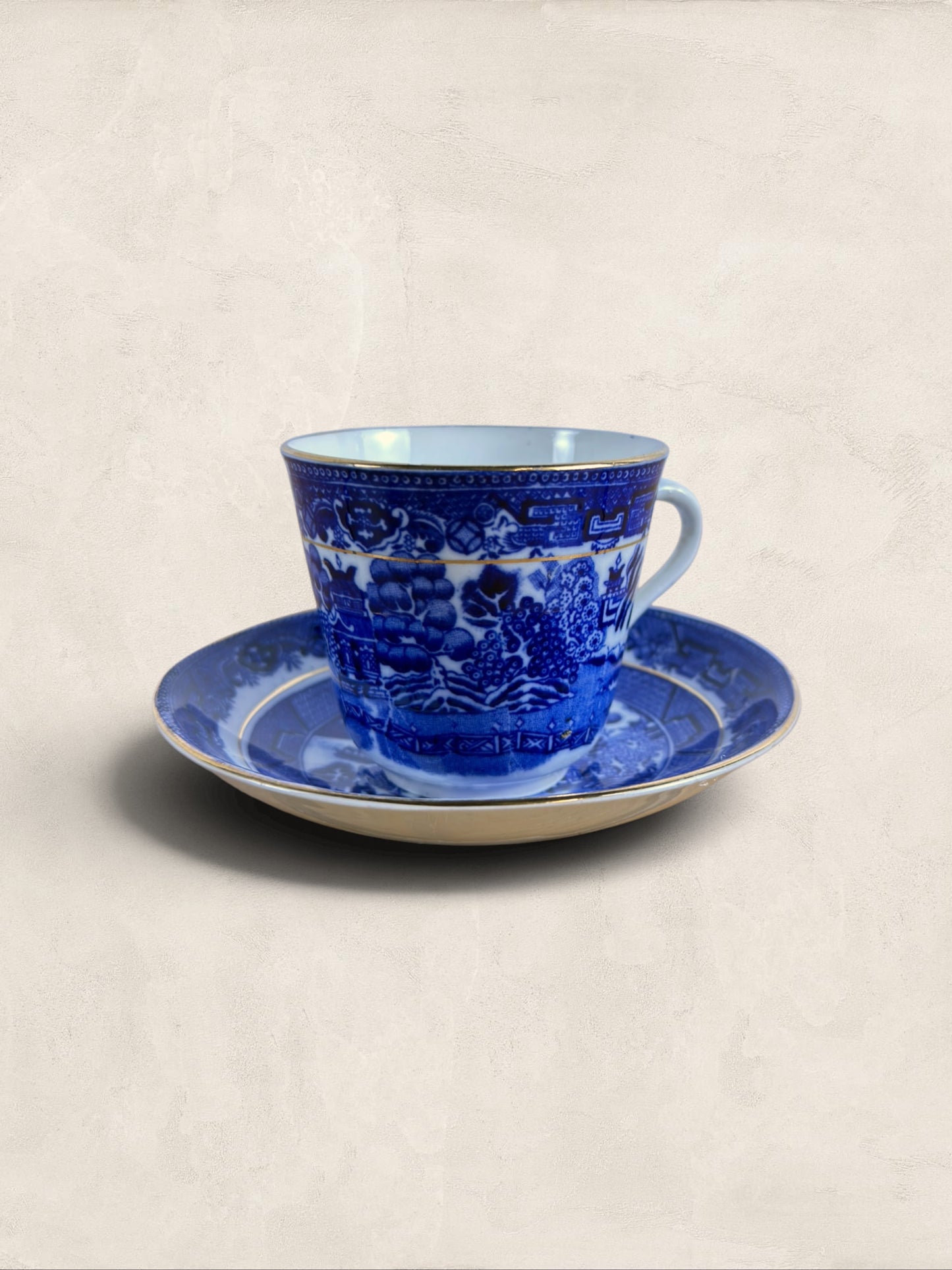 English Queens China Blue Willow Bone China Cup & Saucer