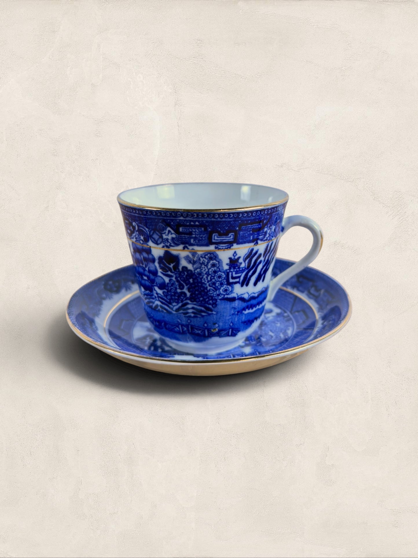 English Queens China Blue Willow Bone China Cup & Saucer