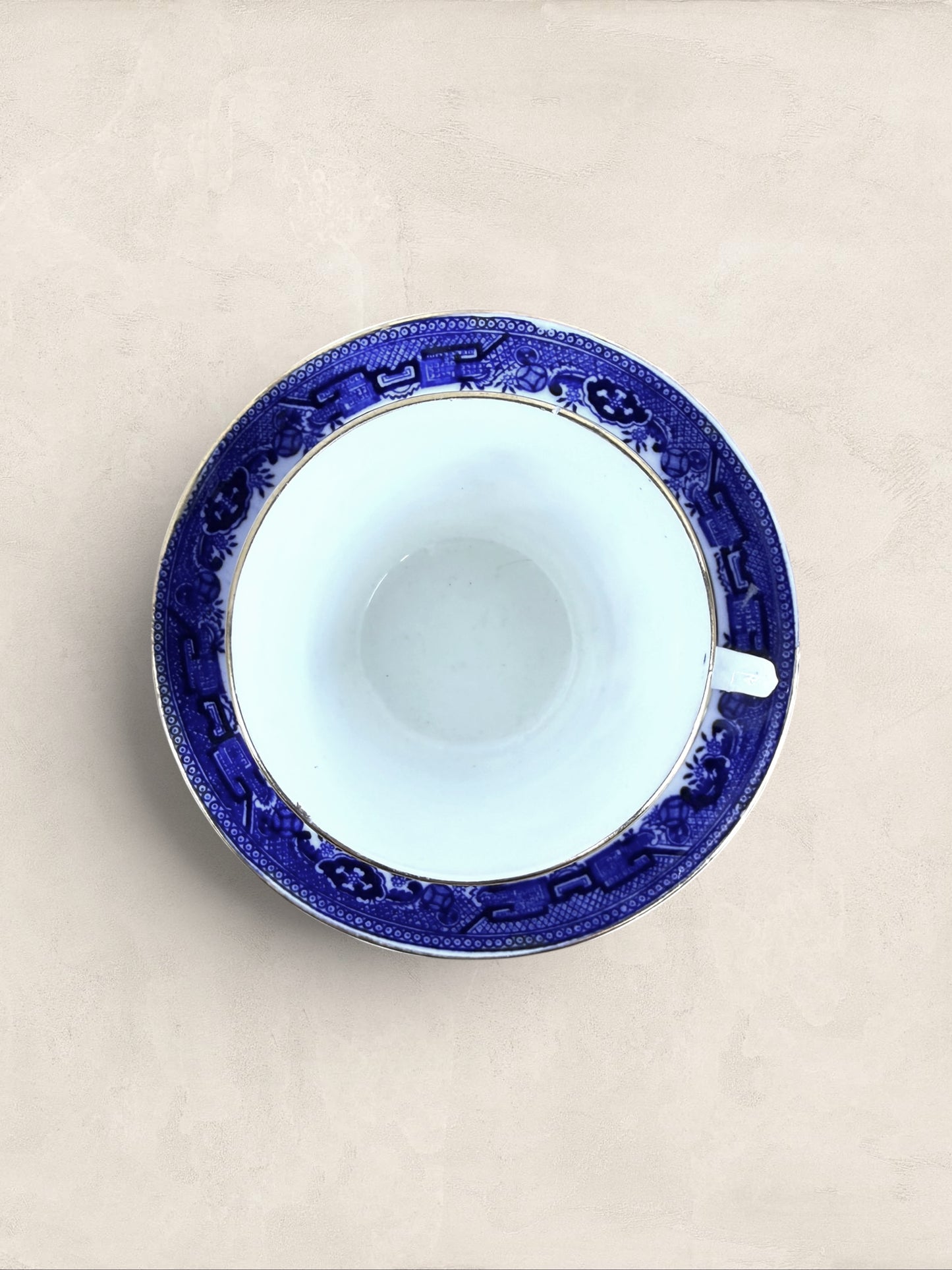 English Queens China Blue Willow Bone China Cup & Saucer