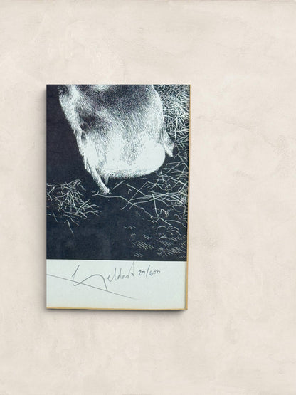 English Framed Black & White Cow Print, Signed 'William Geldart'
