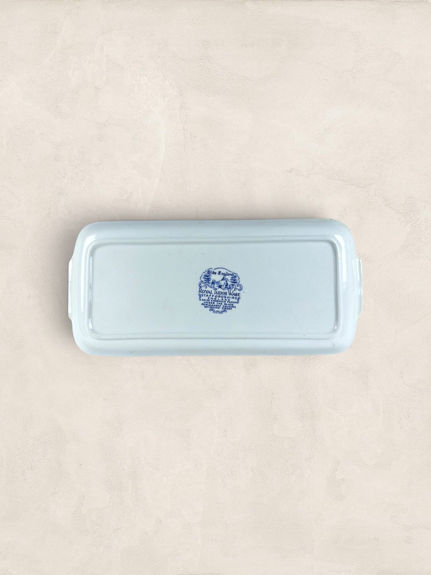 English Blue & White Transferware Handled Serving Tray