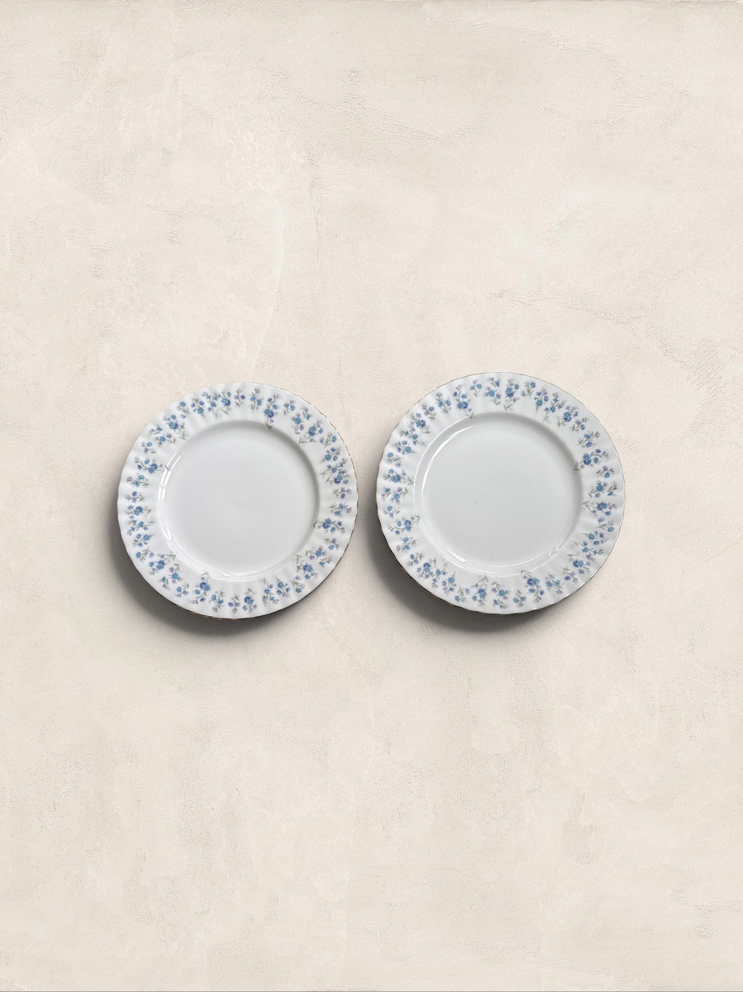 English Royal Albert 'Memory Lane' 8 inch Plates, Set of Two