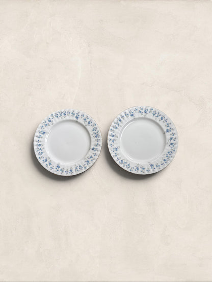 English Royal Albert 'Memory Lane' 8 inch Plates, Set of Two