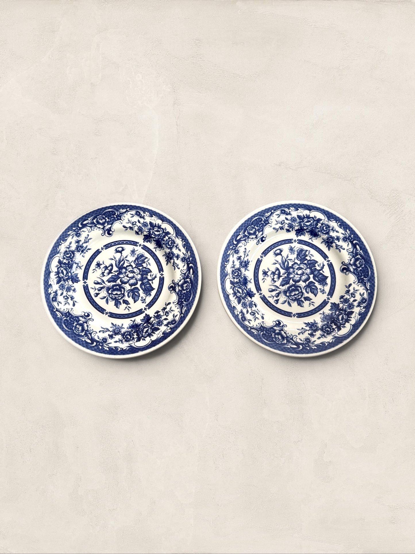English John Tams Blue and White Plates, Set of Two